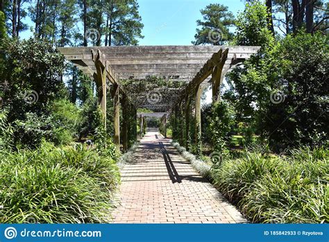 Cape Fear Botanical Garden Fayetteville Nc Stock Image Image Of