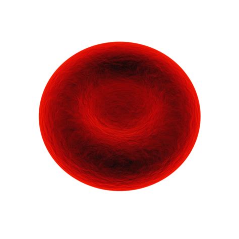 Red Blood Cell Png Transparent Red Blood Cellpng Images Pluspng