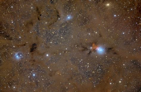 Apod 2010 February 4 Stardust In Perseus