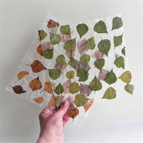 Handmade Artist Dried Leaves Paper Thin Translucent Botanical Etsy In