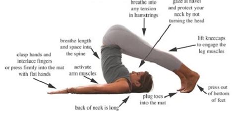 7 yoga asanas to improve your sex life ~ zmark ca