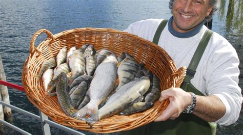 Palazzo re enzo 100 m. Ticino Weekend - Pesce di lago - frisch auf dem Tessiner Tisch