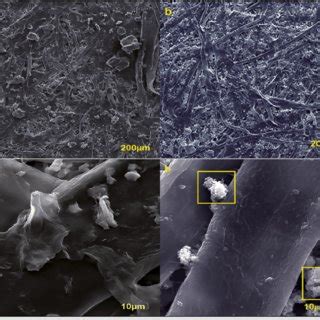 SEM Microphotographs Of The Paper Surface Coated With Graphene Oxide