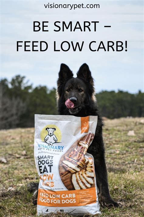 Is low carb dog food necessary? Keto Dog Food - Low Carb - High Protein - Grain Free ...