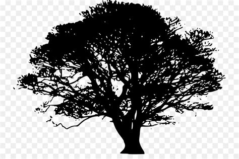 Tree Silhouette Clip Art Tree Vector Png Download Free Transparent Tree Png