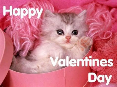 Pinterest Valentines Day Happy Valentines Day Kitty Pictures
