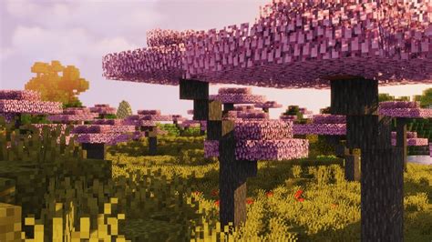 Cherry Blossom Trees Minecraft Texture Pack