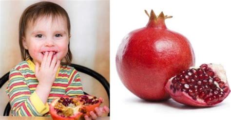 Buah delima bisa jadi solusi untuk bantu mencukupi asupan nutrisi dan mencegah datangnya penyakit. 10 Manfaat buah delima untuk anak, salah satunya mencegah ...