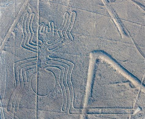 The Enigmatic Nazca Lines Just Ancient Art Or Alien Messages Buzzuh