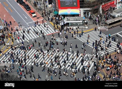 Crowds Crossing The Shibuya Pedestrian Crossing In Shibuya Tokyo