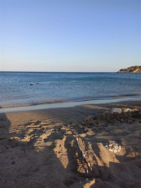 Kalami Beaches Crete Locals
