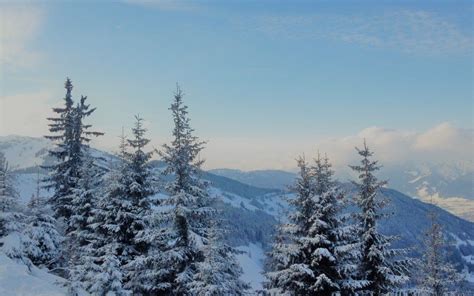 Buiten deze vaste periode kan zeker in de bergen het gebruik van winterbanden ook verplicht zijn. OOSTENRIJK | Oostenrijk, Winter, Reizen
