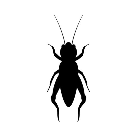 Black Silhouette Of Cricket Realistic Orthopteran Insect With Long