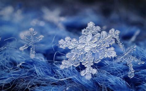 Snowflakes Ice Snowflake Blue Winter Hd Wallpaper Peakpx