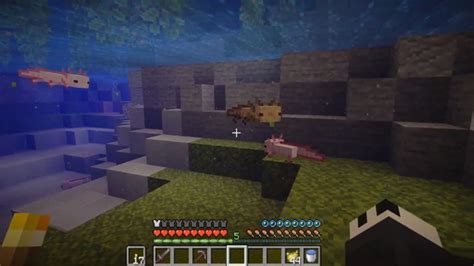Comment Trouver Et Acquérir Axolotl Dans La Mise à Jour Minecraft Caves