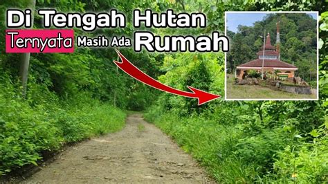 Desa Terpencil Di Dalam Hutan Kalipuro Banyuwangi Mylank Channel