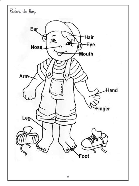 View and print your body matching worksheet another portion of 28 picture discussions on view and print your body matching worksheet Pin on worksheets for kids