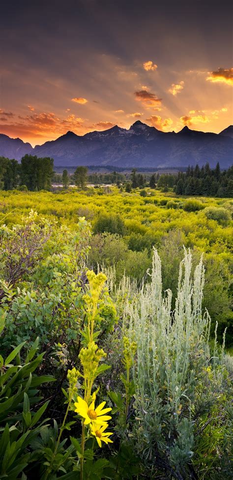 Grand Teton National Park Sunset 1080x2220