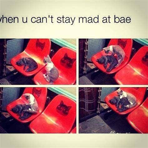 When You Cant Stay Mad At Bae Love Love Quotes Mad Meme Love Sayings