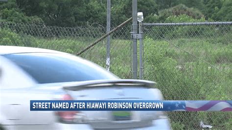 Land Named After Hiawayi Robinson Girl Killed In 2014 Remains Vacant After Two Years