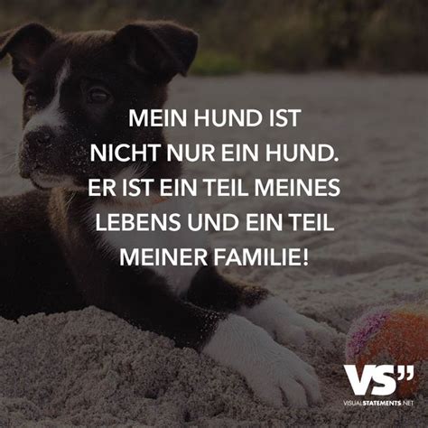 So ist es nicht verwunderlich, dass auch viele hundesprüche weisheiten enthalten. Schöne Zitate Hunde