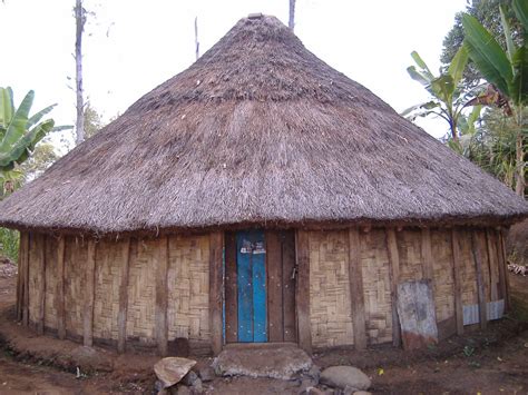 Rumah Adat Papua Budaya Indonesia