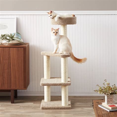 Combines climbing, scratching and play for your cat with convenient storage for you. Is Pet Haus Wave Wall Mounted Cat Perch Worth Buying?