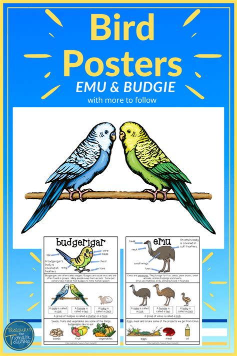 These Bird Posters Are Great Literacy Anchor Charts To Go With Your