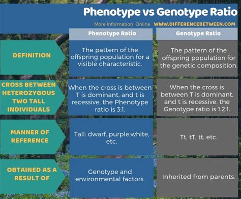 Difference Between Phenotype And Genotype Ratio Compare The