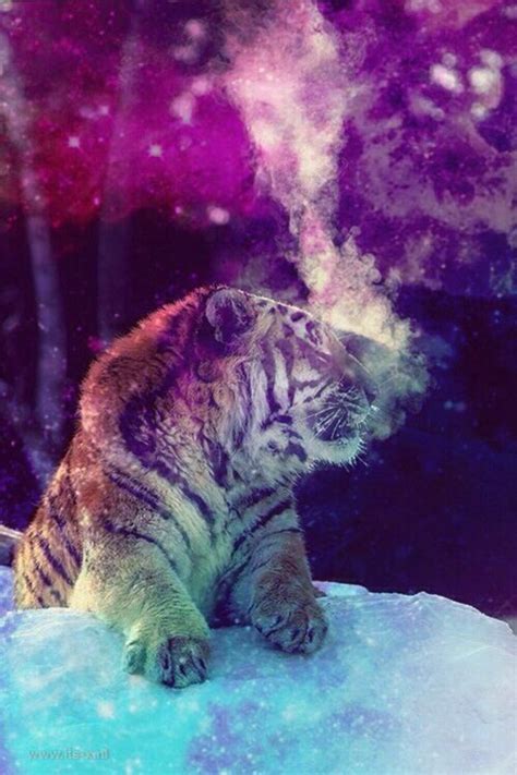 Galaxy ~ Tiger Wallpapers Pinterest Tigers And Galaxies