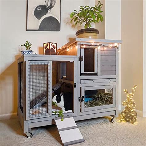 Best Indoor Rabbit Hutches The Ultimate Guide