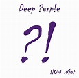 Deep Purple - Now What?! (2013, Vinyl) | Discogs