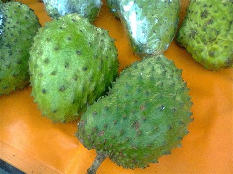 Durian, like other tropical fruits such as banana, avocado, and jackfruit, is high in energy, minerals, and vitamins. DURIAN BELANDA/ ANNONA MURICATA / SOURSOP | Agrobio ...