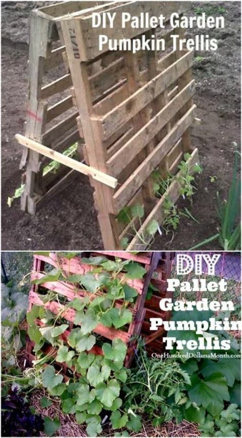 15 Diy Plant Supports And Cages You Need In Your Summer Garden Diy