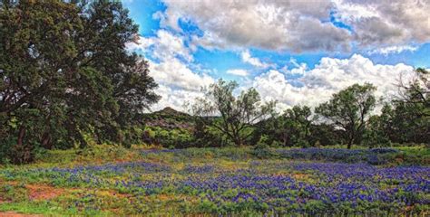 The Enchanting Scenic Drive In Texas That Everyone Should Take This