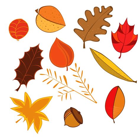 Various Autumn Leaves And Acorns On A White Background