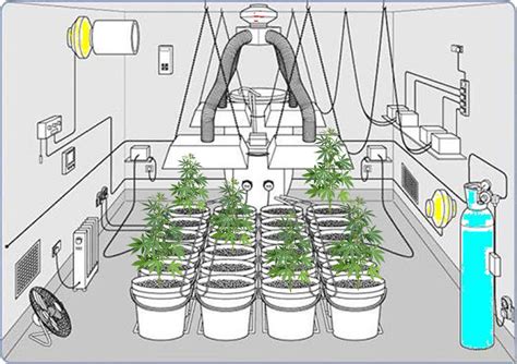 Grow Room Designs With Pictures And Diagrams