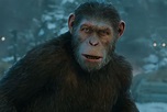 Fox Plans New Return to ‘Planet of the Apes’