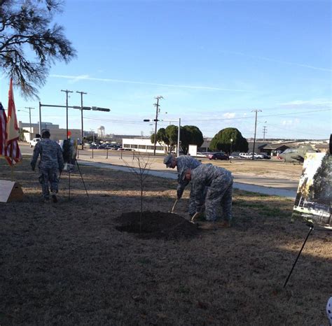 Fort Hood Officials Plant 911 ‘survivor Tree Seedling At Memorial