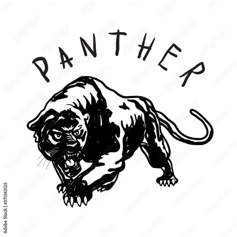 Angry Panther Head Vector Illustration Simple Black Panther Head