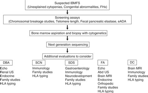 Chapter 4 Bone Marrow Failure Syndromes Oncohema Key