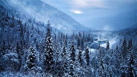 Nature Landscape Mist Forest Mountain River Snow Winter Cold