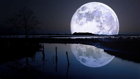 Wallpaper Trees Landscape Night Lake Water Nature Reflection Sky Sphere Calm Moon