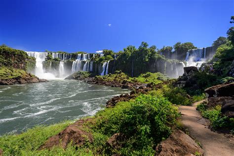 Plantas De Las Cataratas Del Iguazú Adaptación A Condiciones Extremas