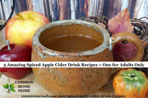 5 Amazing Spiced Apple Cider Drink Recipes One For Adults Only