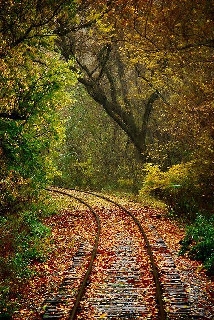 Autumn Express Pennsylvania Usa By Chad Brackeen Beautiful World