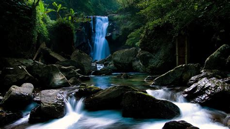 Small Forest Waterfall Hd Wallpaper