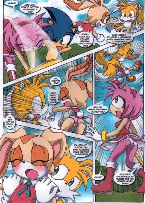 Rule 34 A Sparring Session Amy Rose Cream The Rabbit Dakina Writer