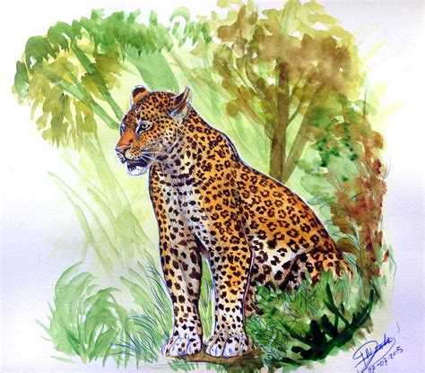 Watercolor Leopard By Nadiavanderdonk On Deviantart