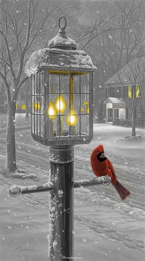 Cardinal In Snow Winter Pictures Winter Scenery Winter Scenes